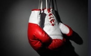 cheap boxing gloves for heavy bag