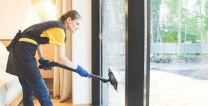 handheld steam vacuum cleaner